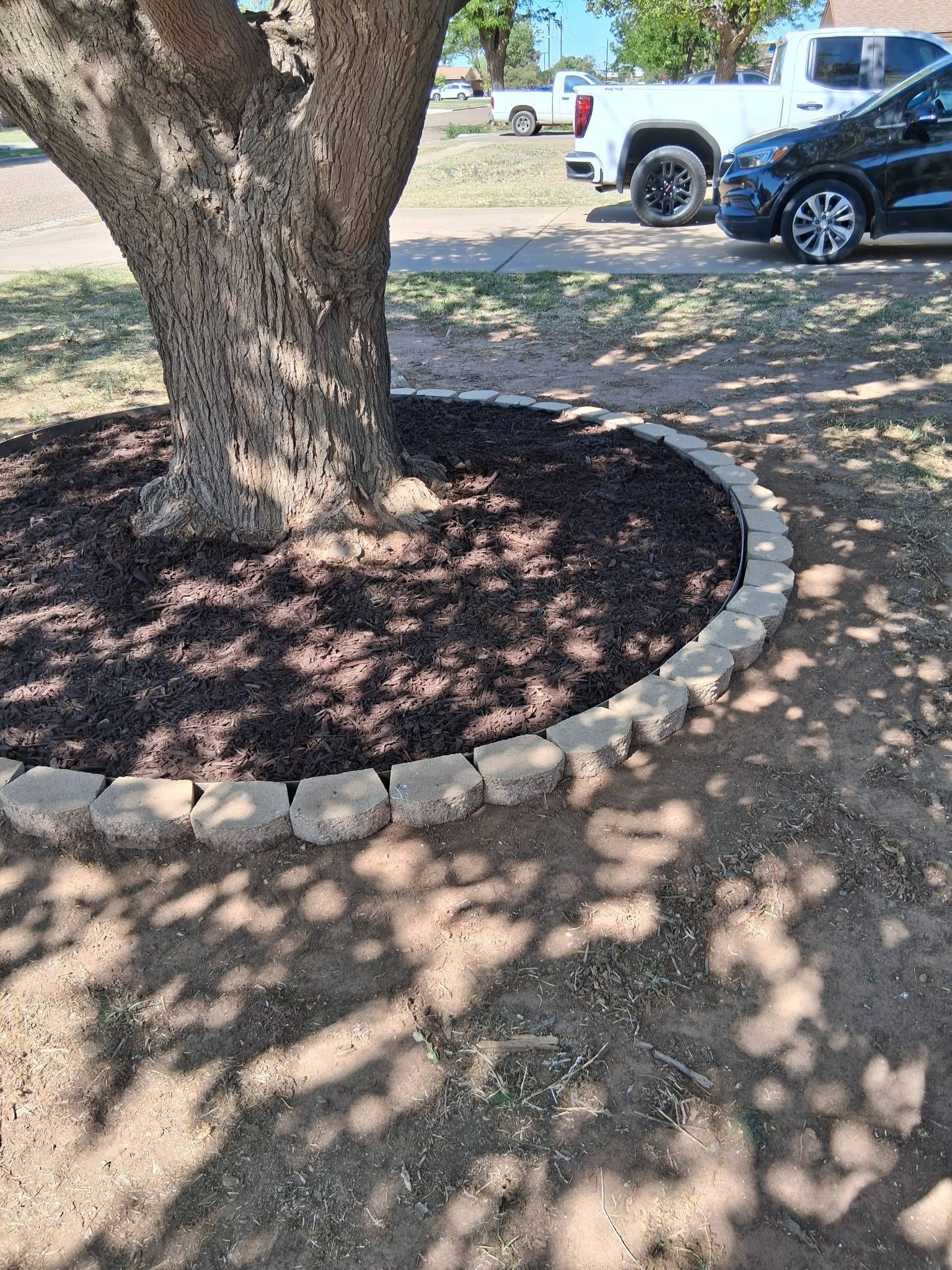 Finished stone and mulch tree ring as seen from the street in Lubbock, TX