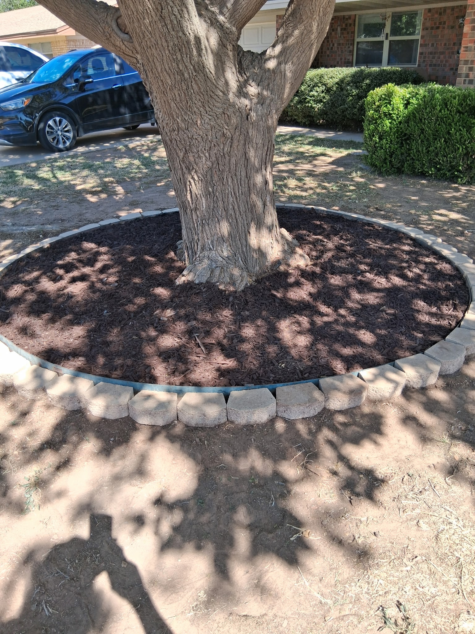 Completed stone and mulch tree ring around a front yard tree in Lubbock, TX