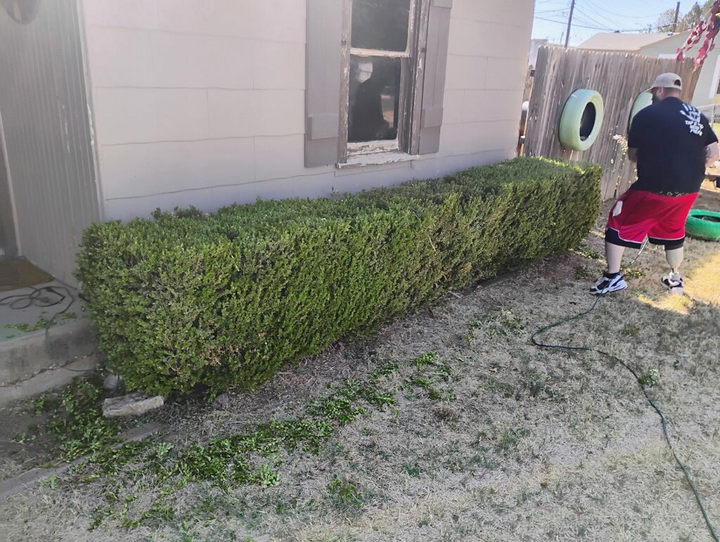 Crew member trimming hedges with clippings on the ground in Lubbock, TX
