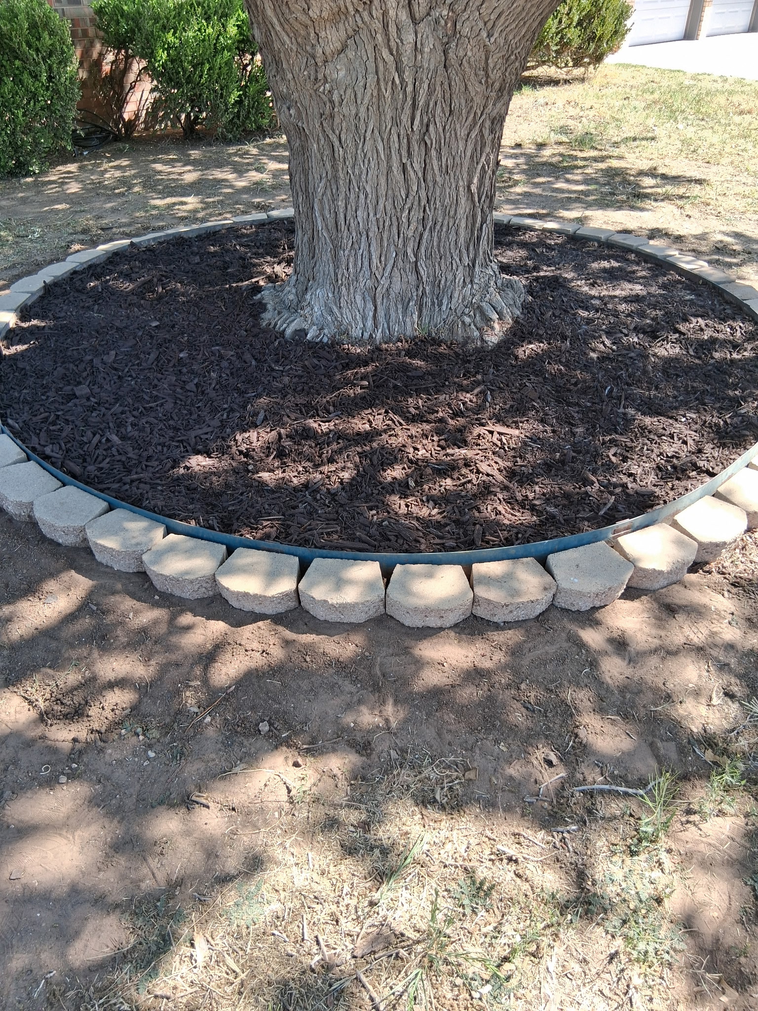 Close-up of finished stone border tree ring with fresh dark mulch in Lubbock, TX